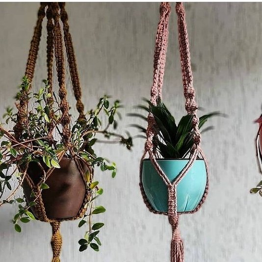 جاگلدونی مکرومه