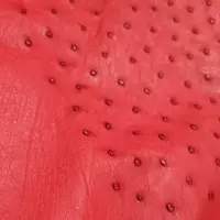 چرم شترمرغ 