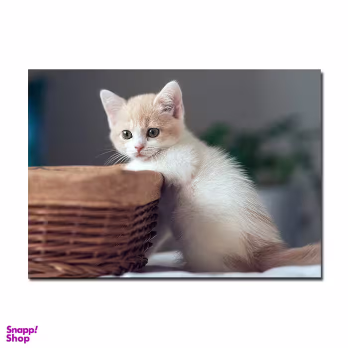 تابلو آهنربایی طرح گربه آویز سبدی کد TOS.1