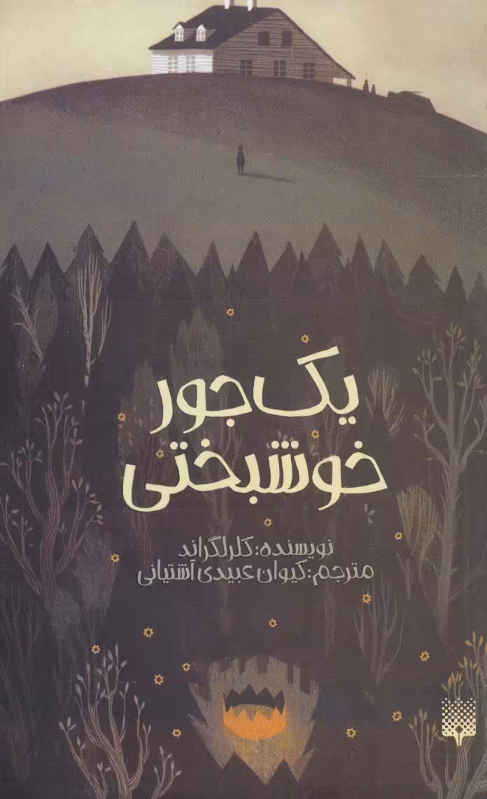 یک جور خوشبختی - ناشربوک | خرید آنلاین کتاب