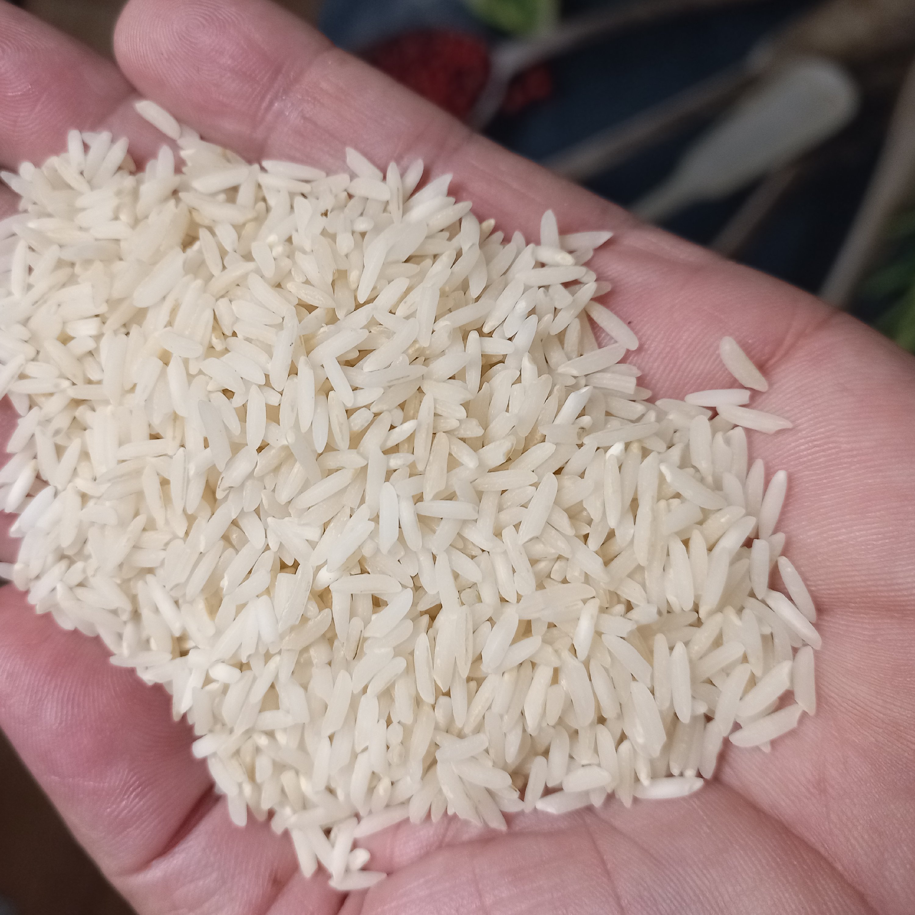 برنج طارم محلی فوق ممتاز اسپه دونه(10کیلویی )100٪خالص محصولی از شالیزارهای منحصر بفرد مازندران شهر جدید زرگر 
