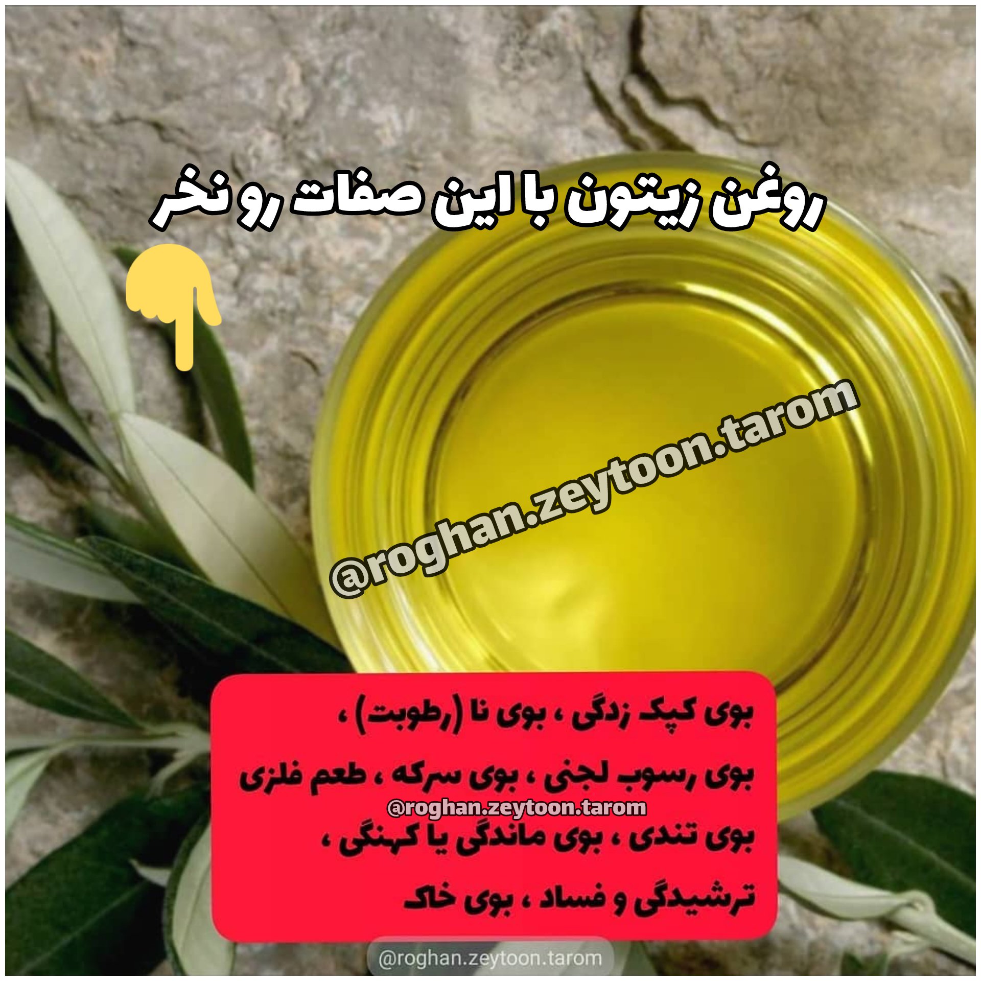 روغن زیتون اصل و با کیفیت عالی