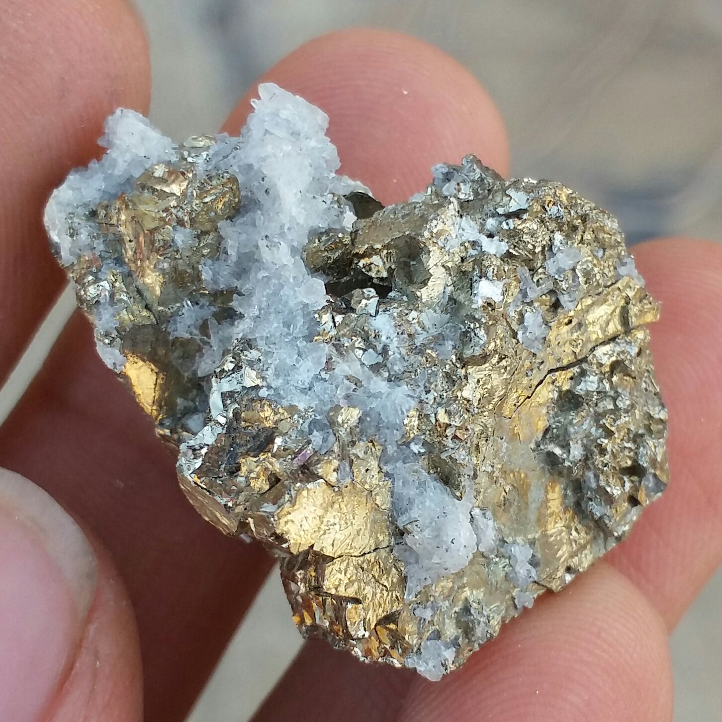 نمونه فوق کلکسیونی حبه سنگ راف  پیریت طلایی ملقب به سنگ طلا همرشدی با بورنیت 100 در 100 طبیعی شاهکار خلقت کد 9350