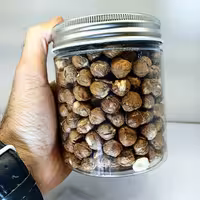 فندق اشکورات رودسر.خام و بدون پوست