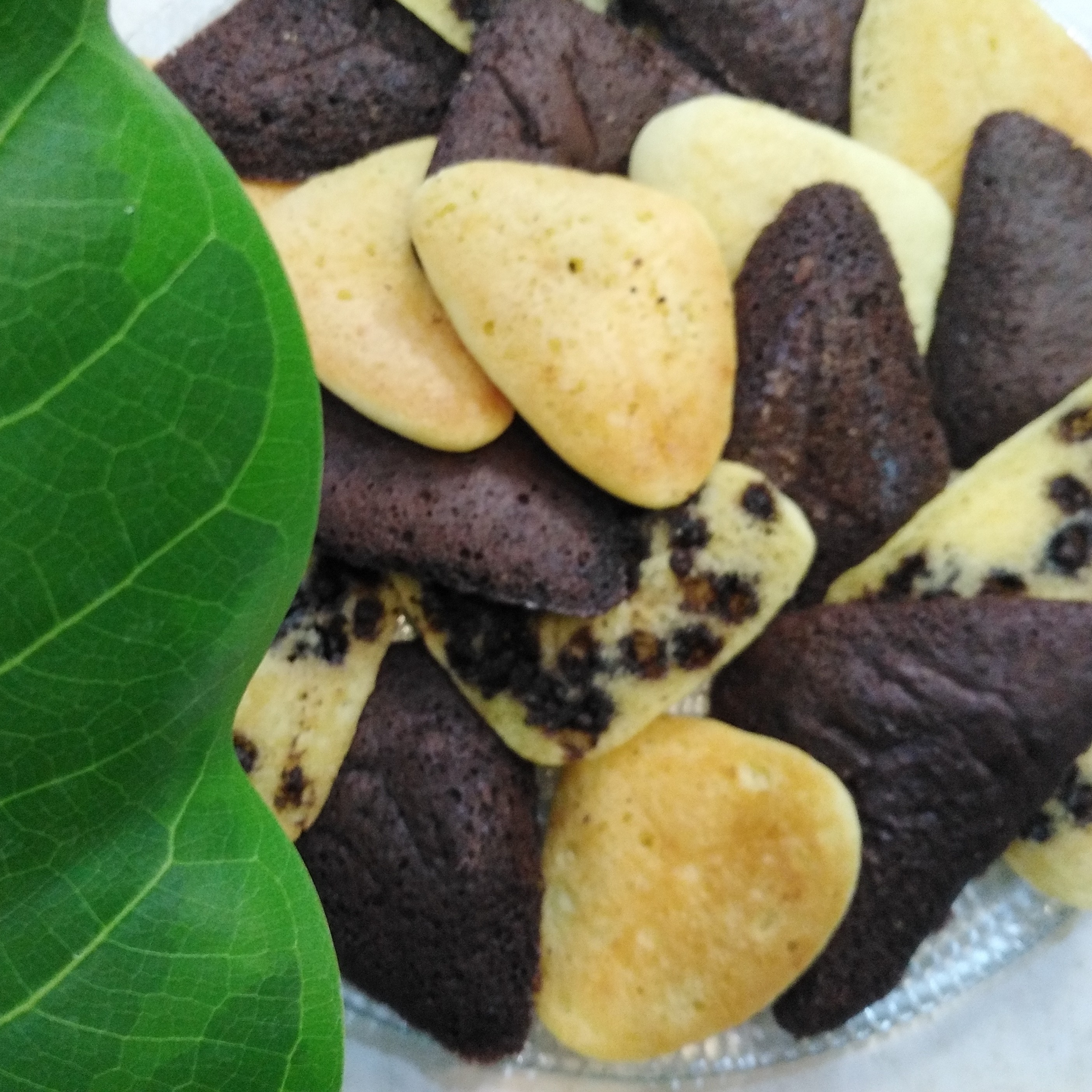 کیک اسنکی دو رنگ (کوکی میکری)