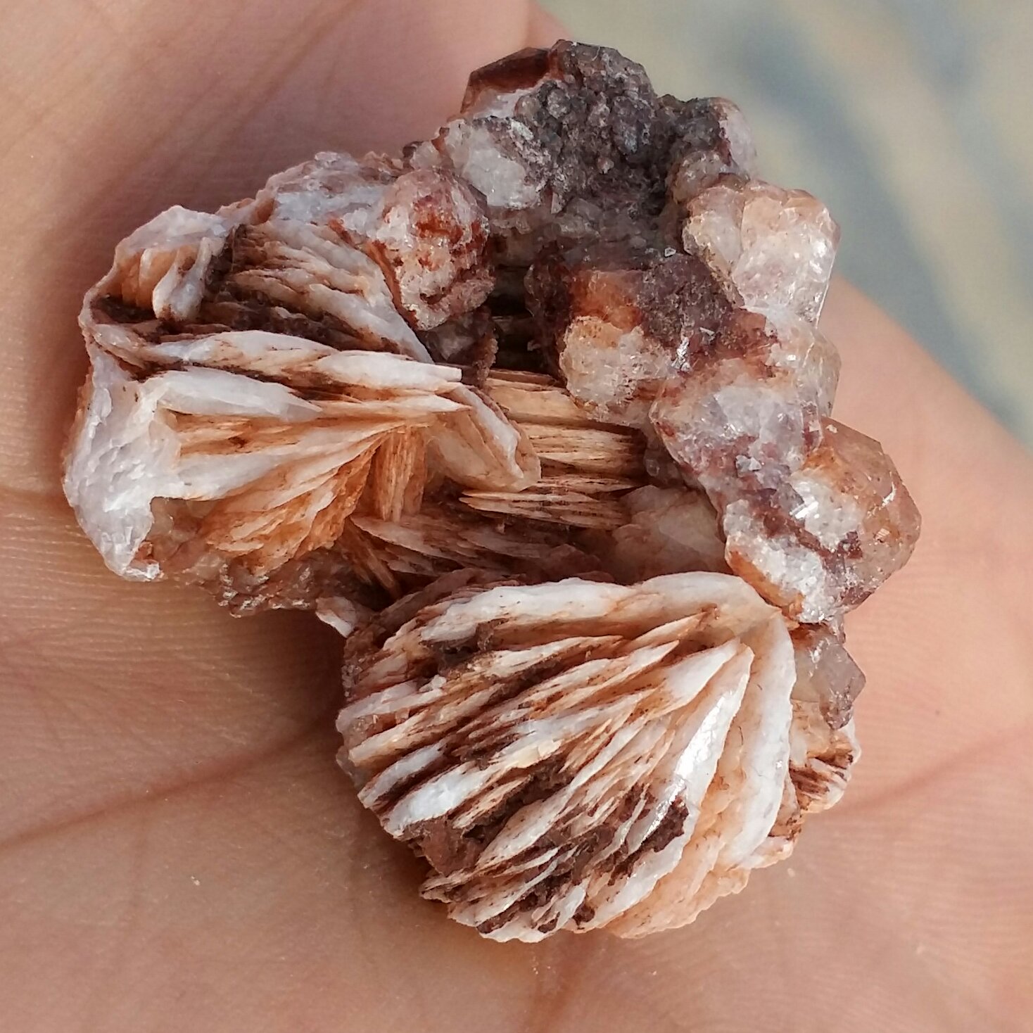 نمونه فوق کلکسیونی آنالیسم روی بستر باریت محشر بسیااااار زیبا 100 در 100 طبیعی خارق العاده و تک
کد 8315