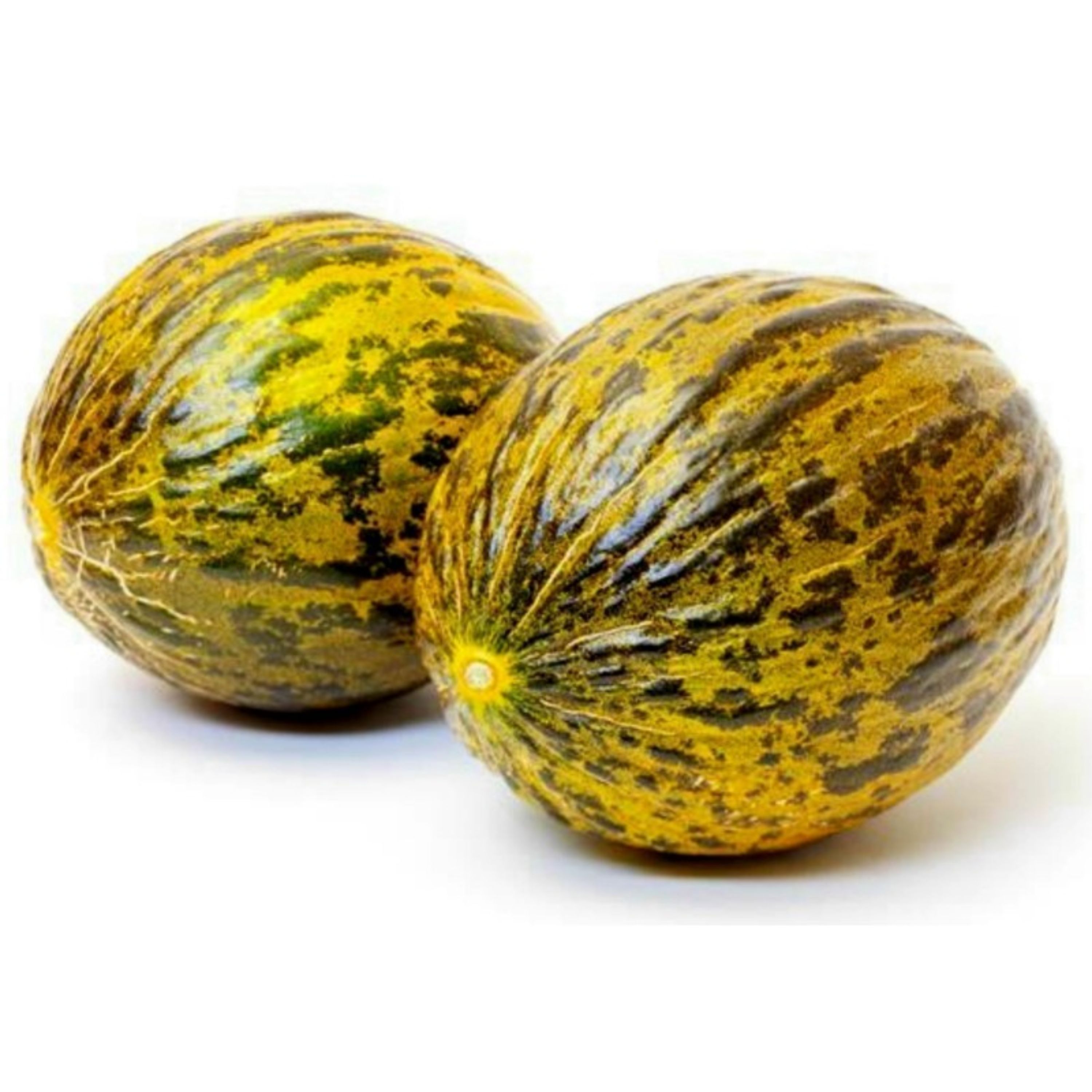بذر خربزه خال دار گرد