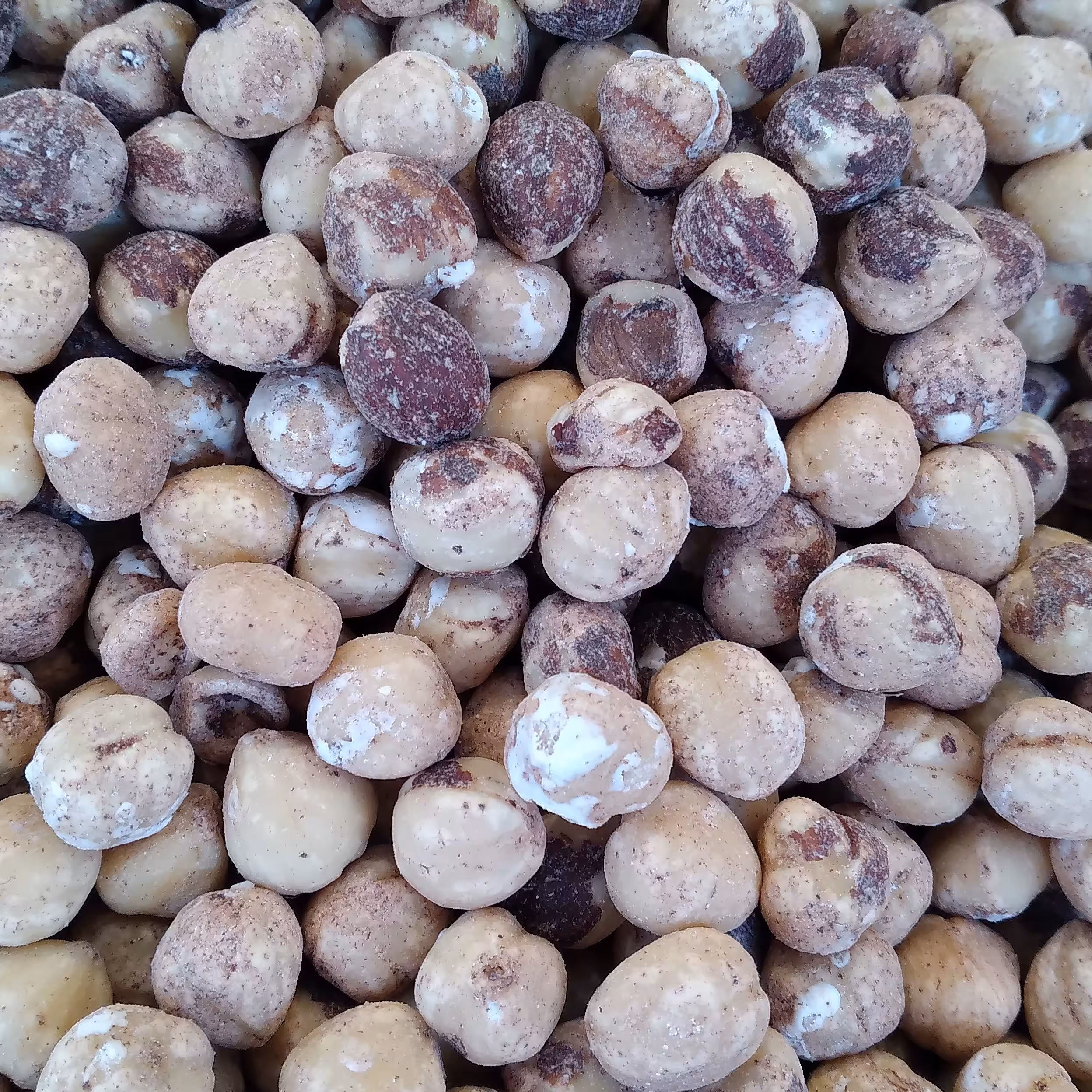 مغز فندق شور 1 کیلو گرمی