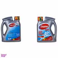 ضدیخ خودرو کاسپین مدل AM 22LSحجم 2000 میلی لیتر بسته دو عددی