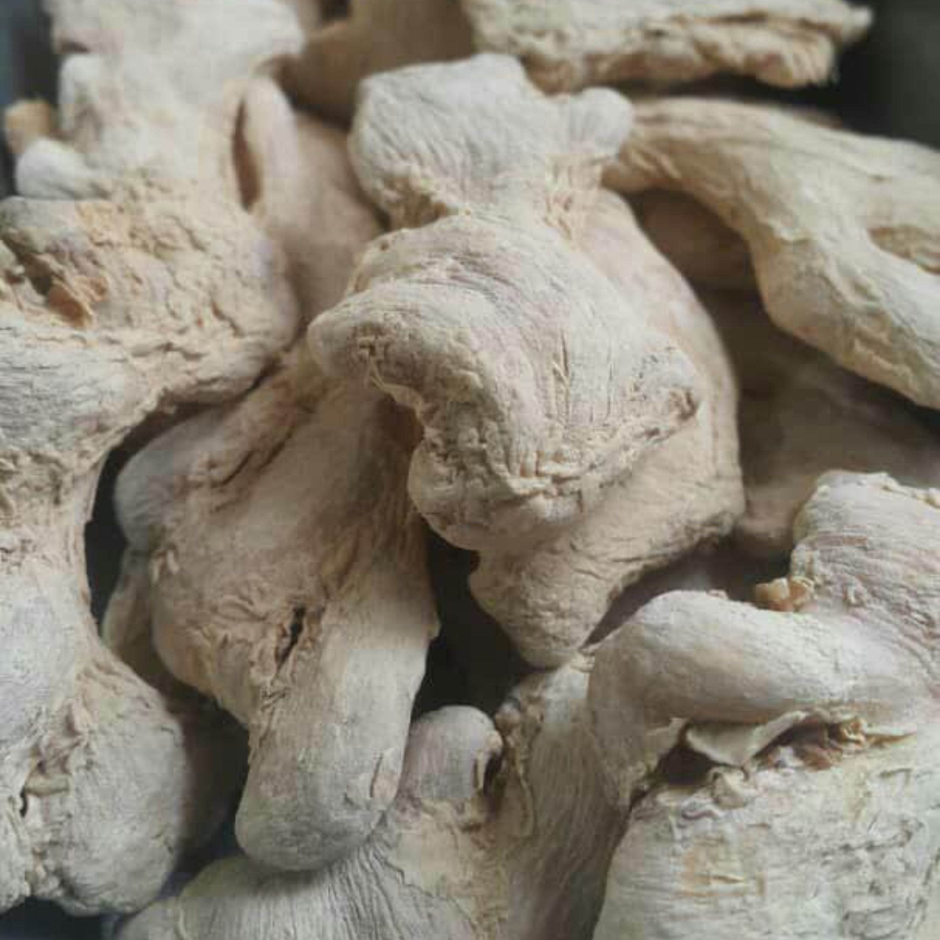 پودر زنجبیل اعلاء 100 گرم