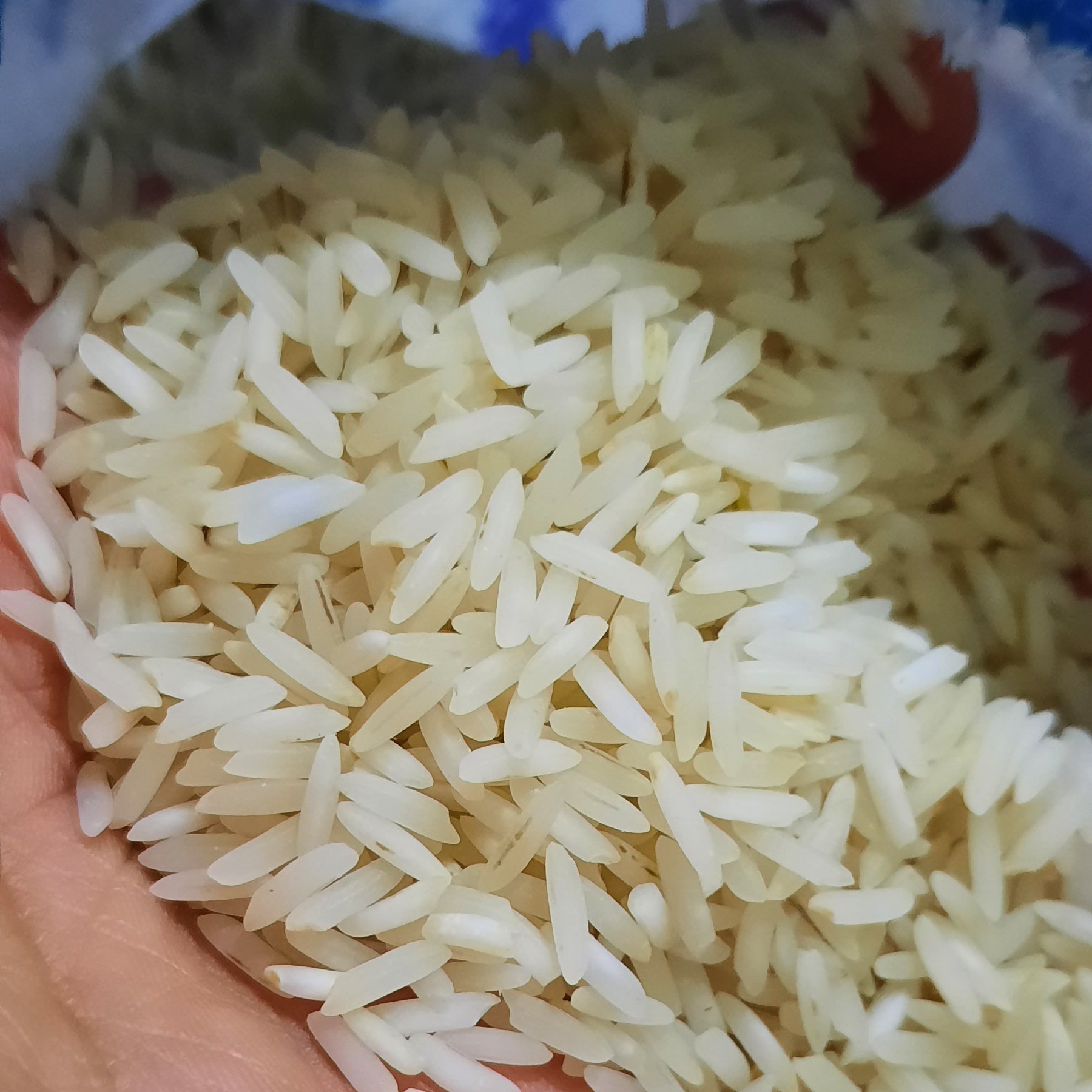 برنج ندا گرگان تازه(10 کیلوگرم)مستقیم از درب شالیکوبی ارسال رایگان.