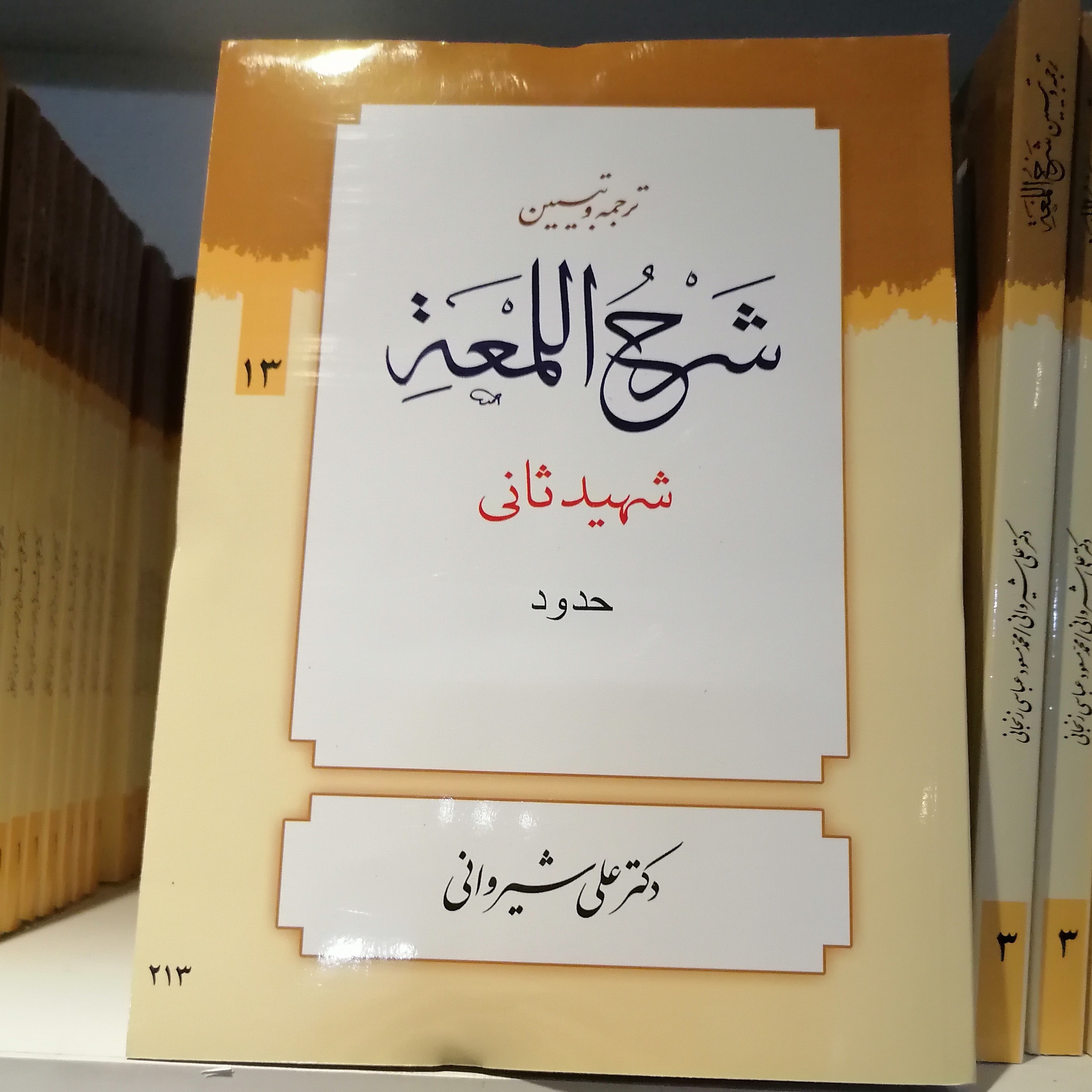 کتاب ترجمه و تبیین شرح لمعه (جلد13)
شهید ثانی ترجمه علی شیروانی