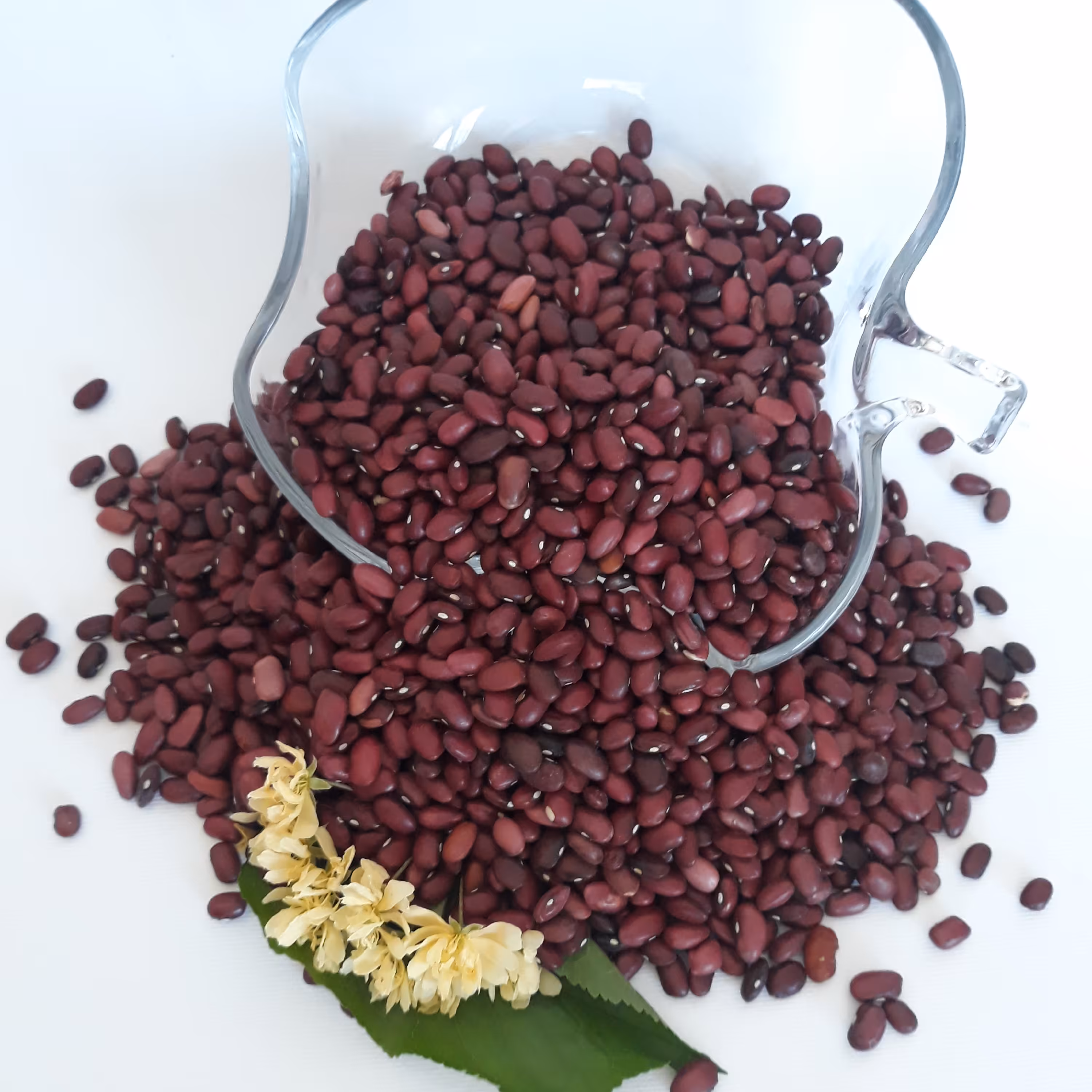 لوبیا قرمز دست چین شده امسالی( 2.7کیلو گرم)