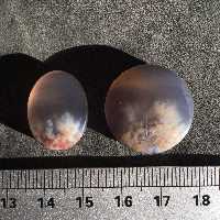 ست عقیق شجر فردوس تراش گرد 