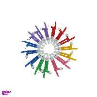 پرگار پلاستیکی