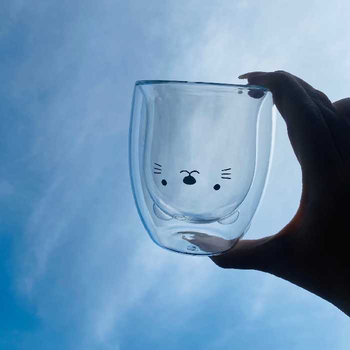 ماگ دوجداره