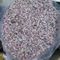 تخمه هندوانه برشته محلی امساله