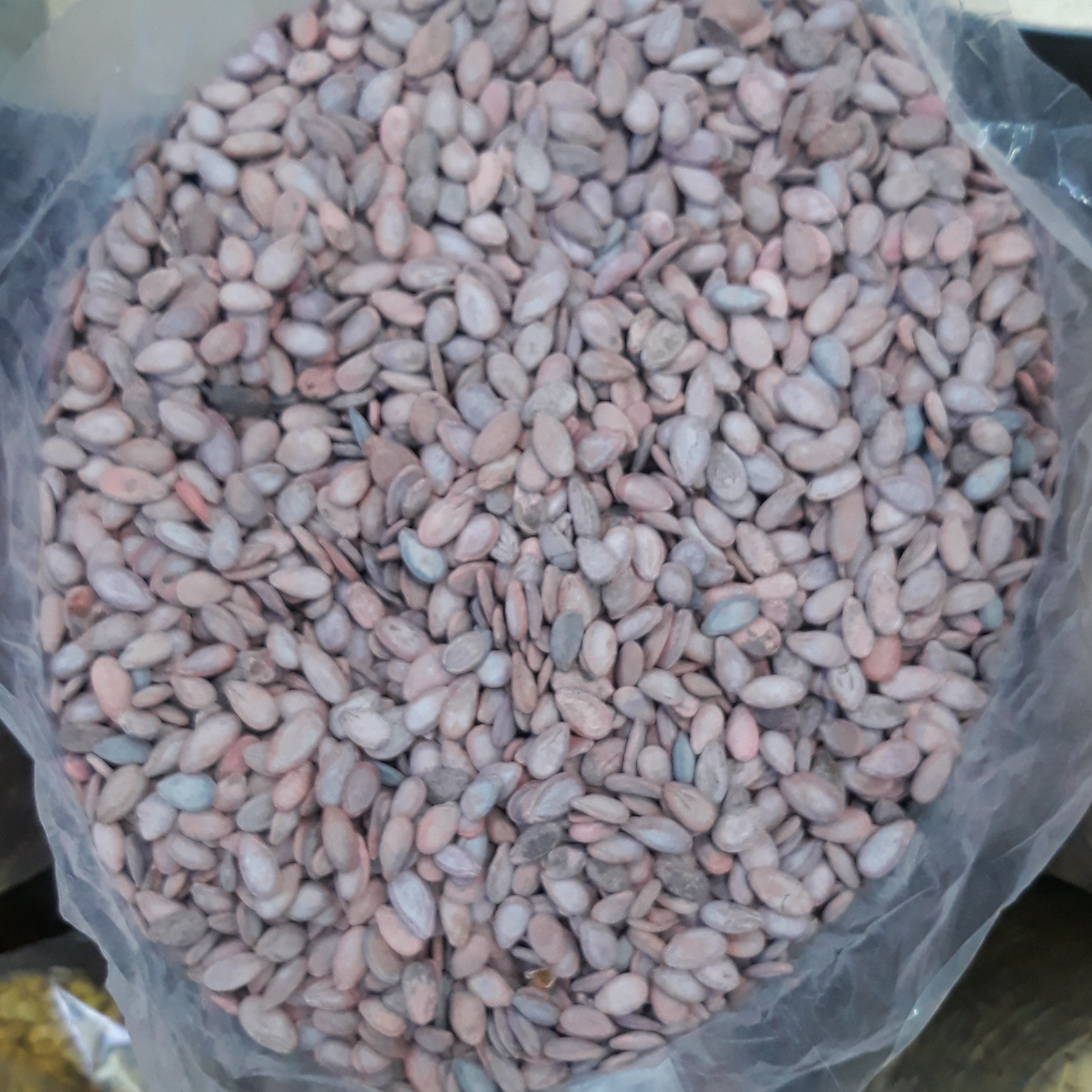 تخمه هندوانه برشته محلی امساله