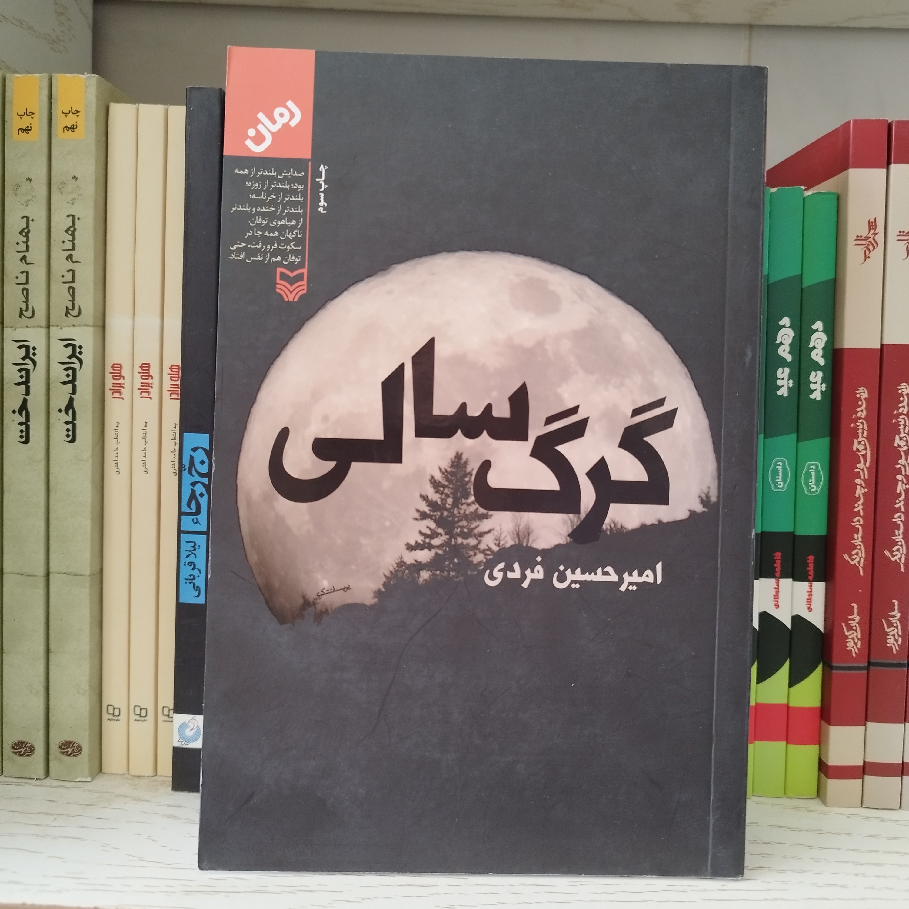 کتاب گرگ سالی