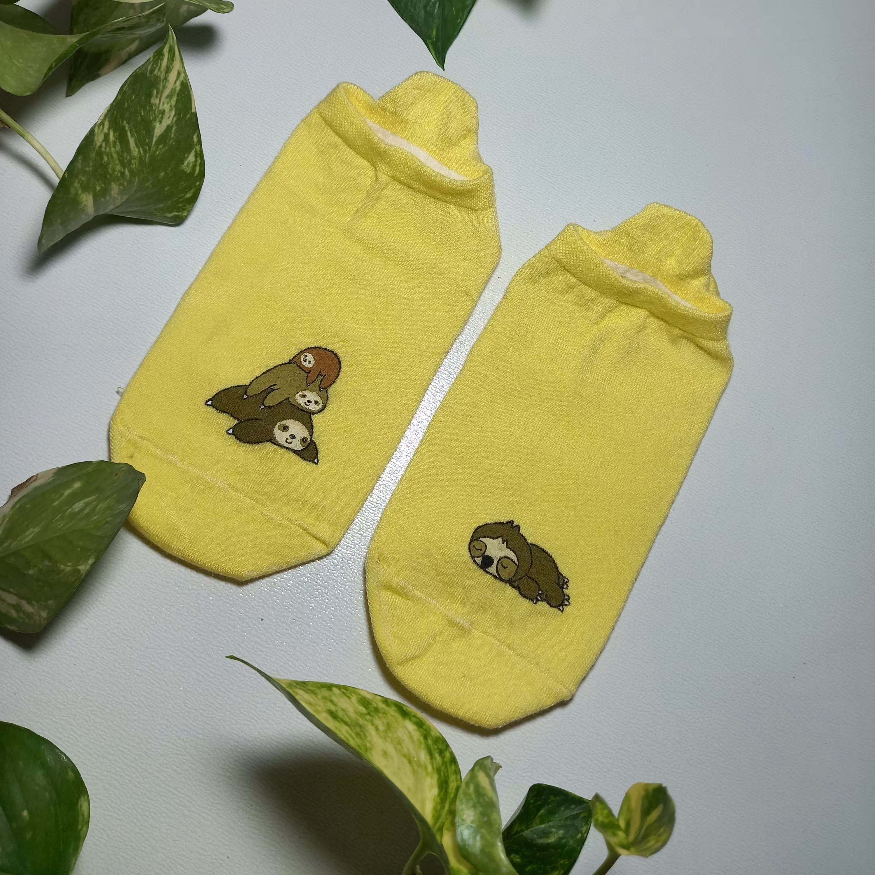 جوراب تنبل نقاشی شده