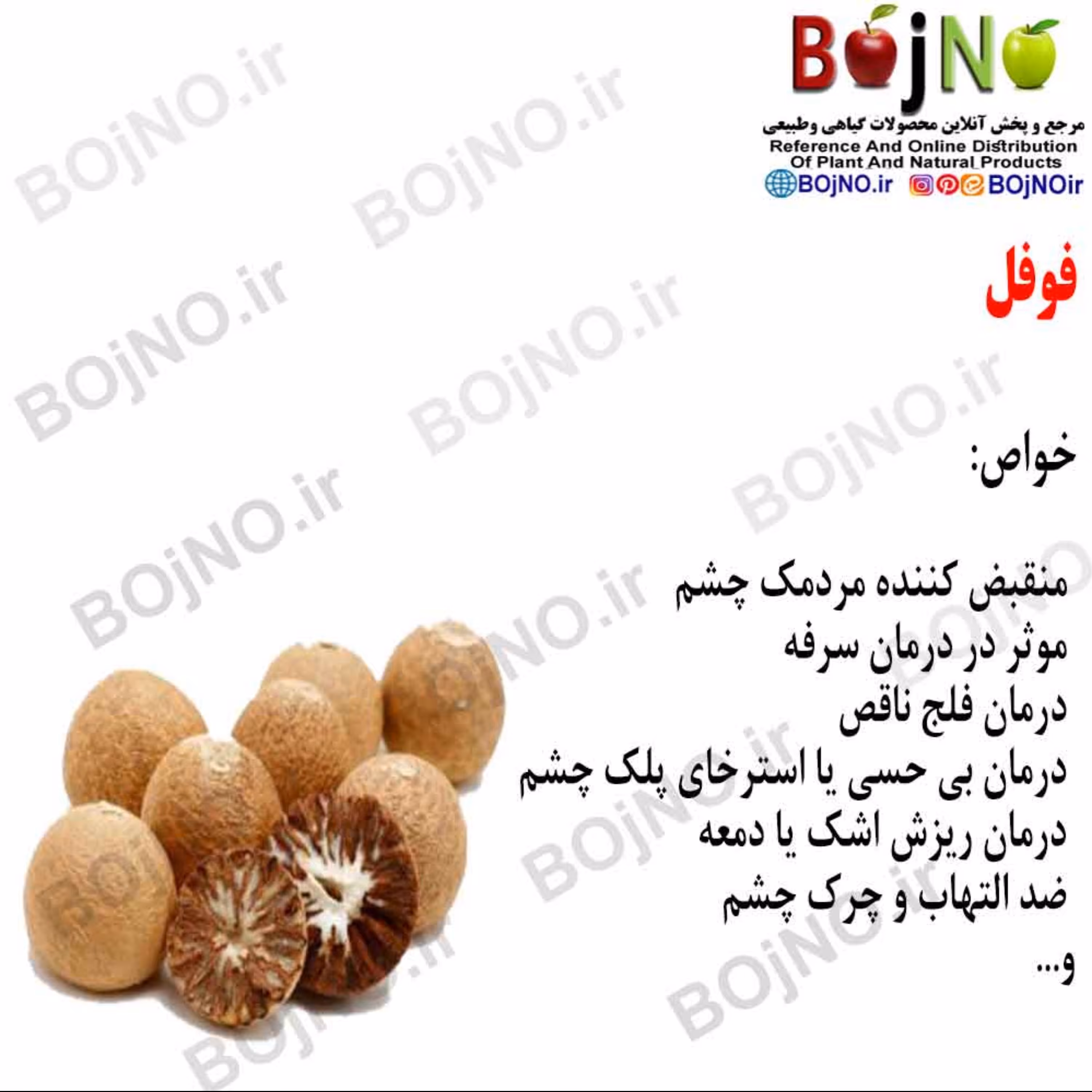 فوفل (بسته 50گرمی)