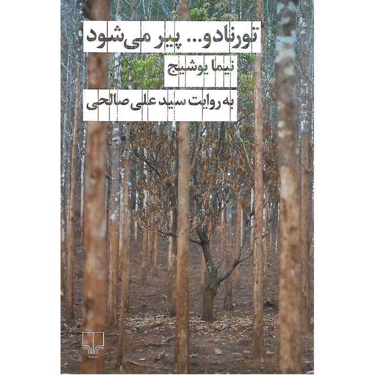 تورنادو... پیر می شود