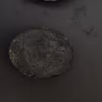 صابون  گیاهی ذغال اکتیو