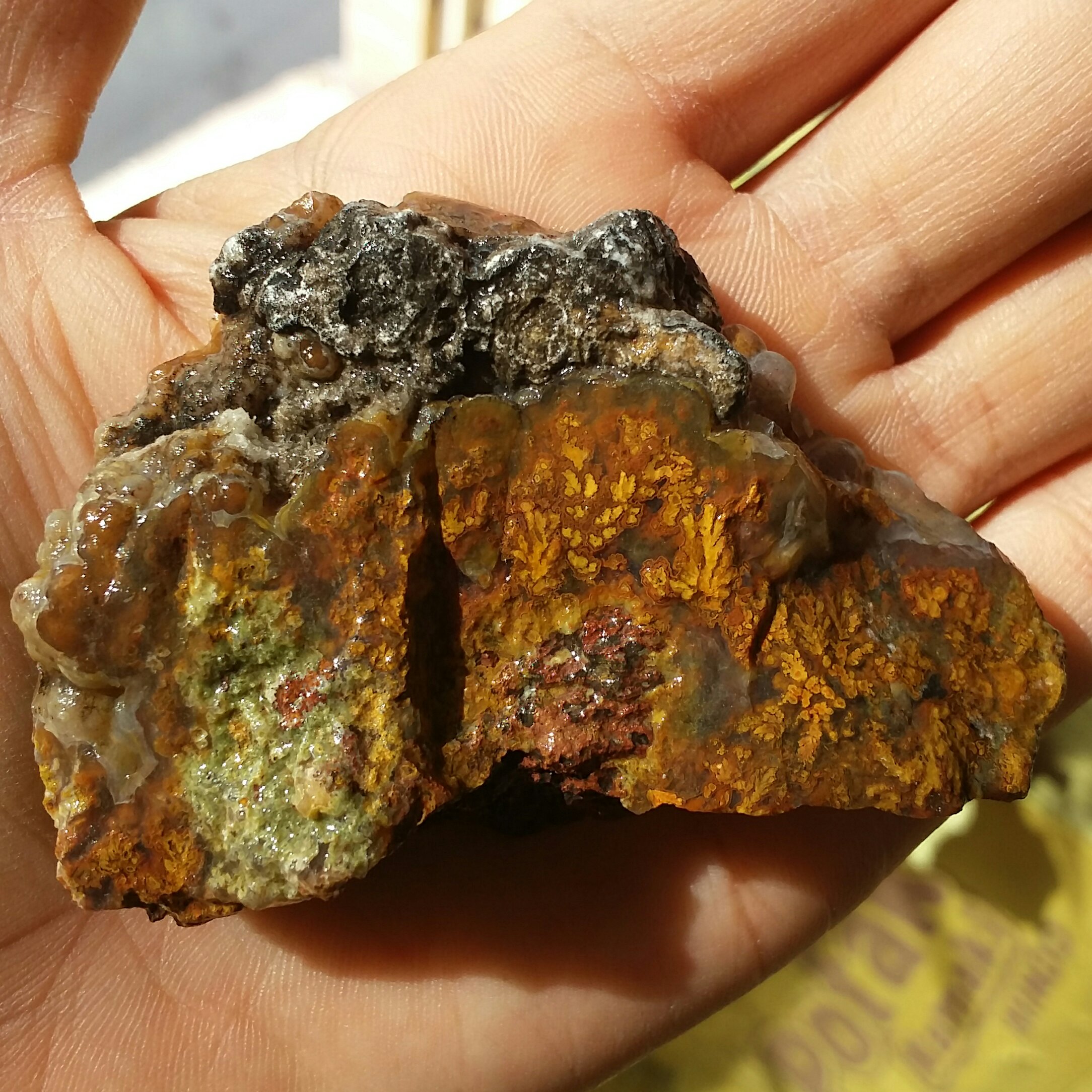 سنگ راف شجر پاییزی زیبا ا ا دیدنیی 100درصد طبیعی با شجر هایی بی نظیر