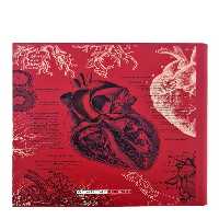 کلاسور 26 حلقه B5 Scientist Heart