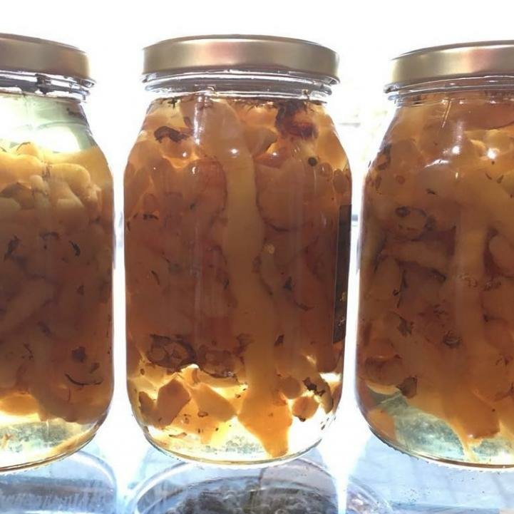 مربا شقاقل890گرمی