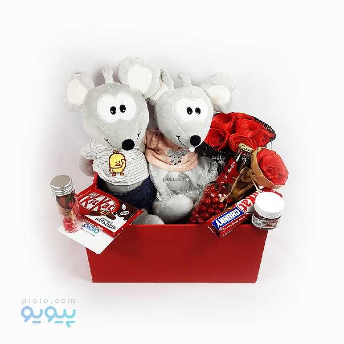 باکس کادوی آماده ولنتاین با عروسک موش صحرایی دندون قشنگ جفت