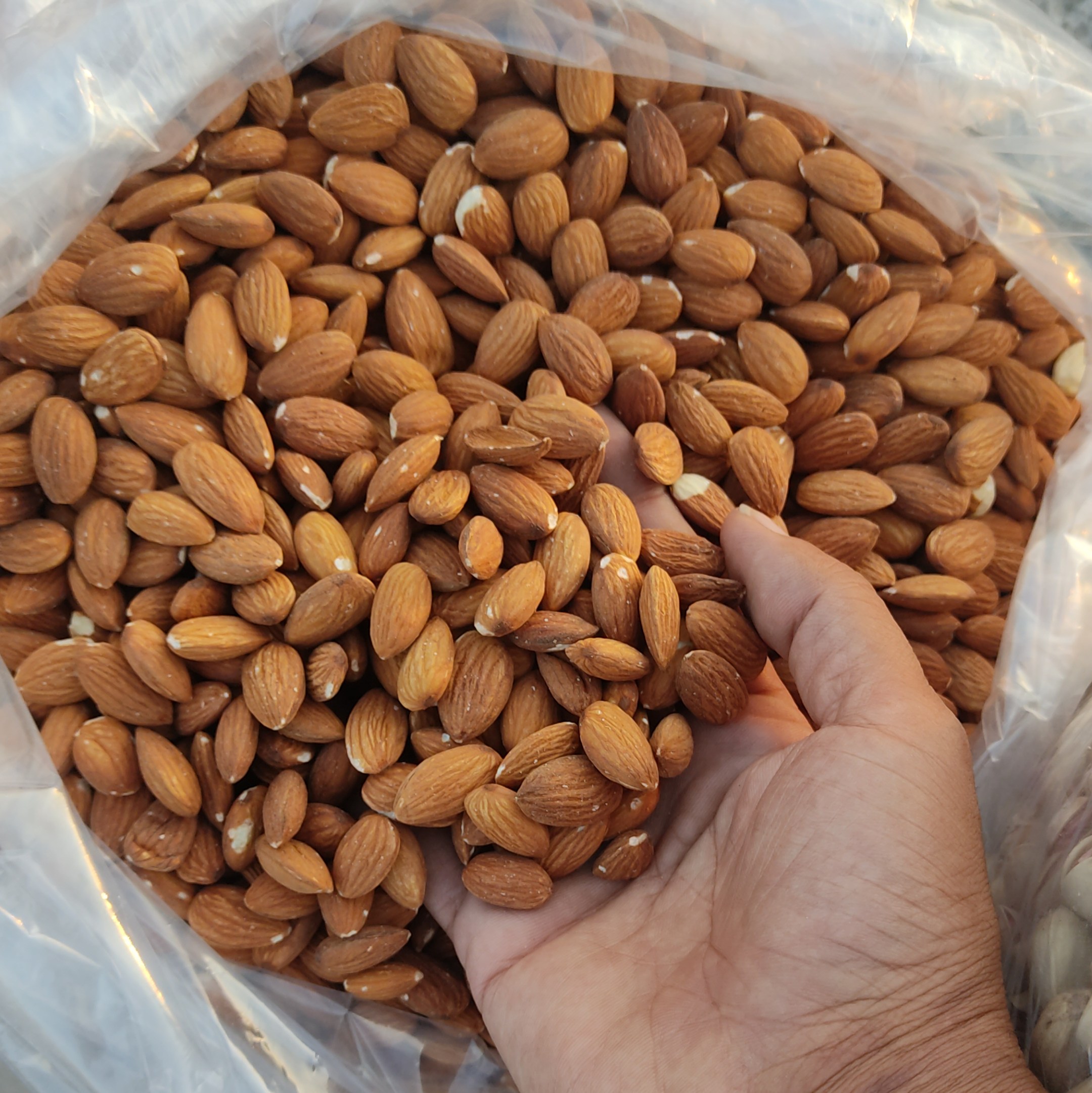 مغز بادام درختی خام اعلاء دانه درشت تازه یک کیلویی