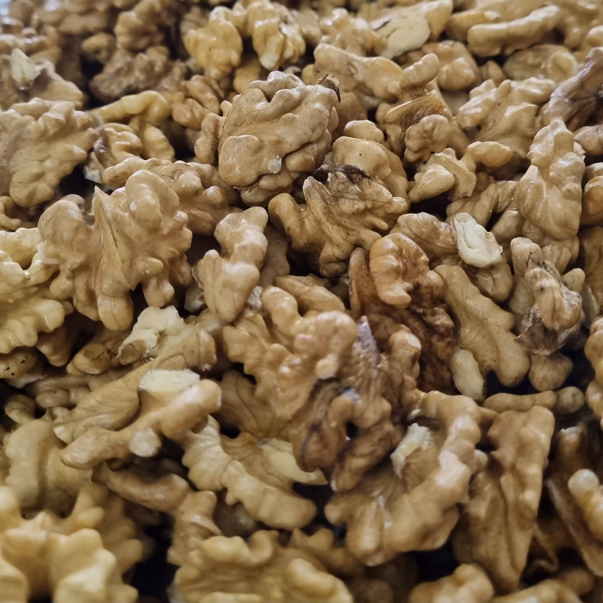 مغز گردوی  ارگانیک آذربایجان 