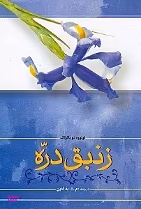 زنبق دره