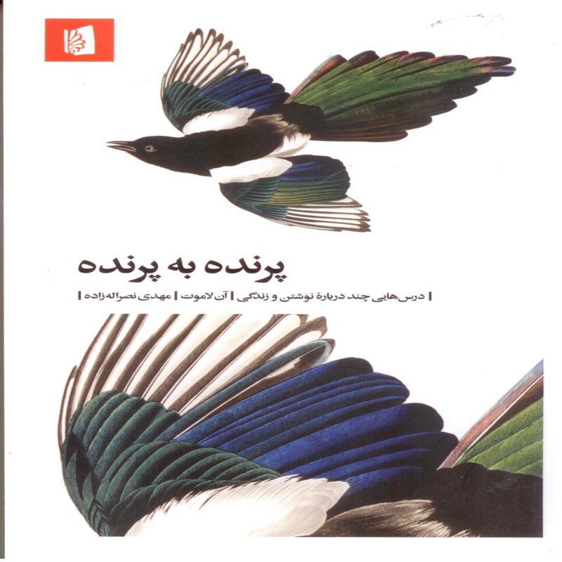 پرنده به پرنده