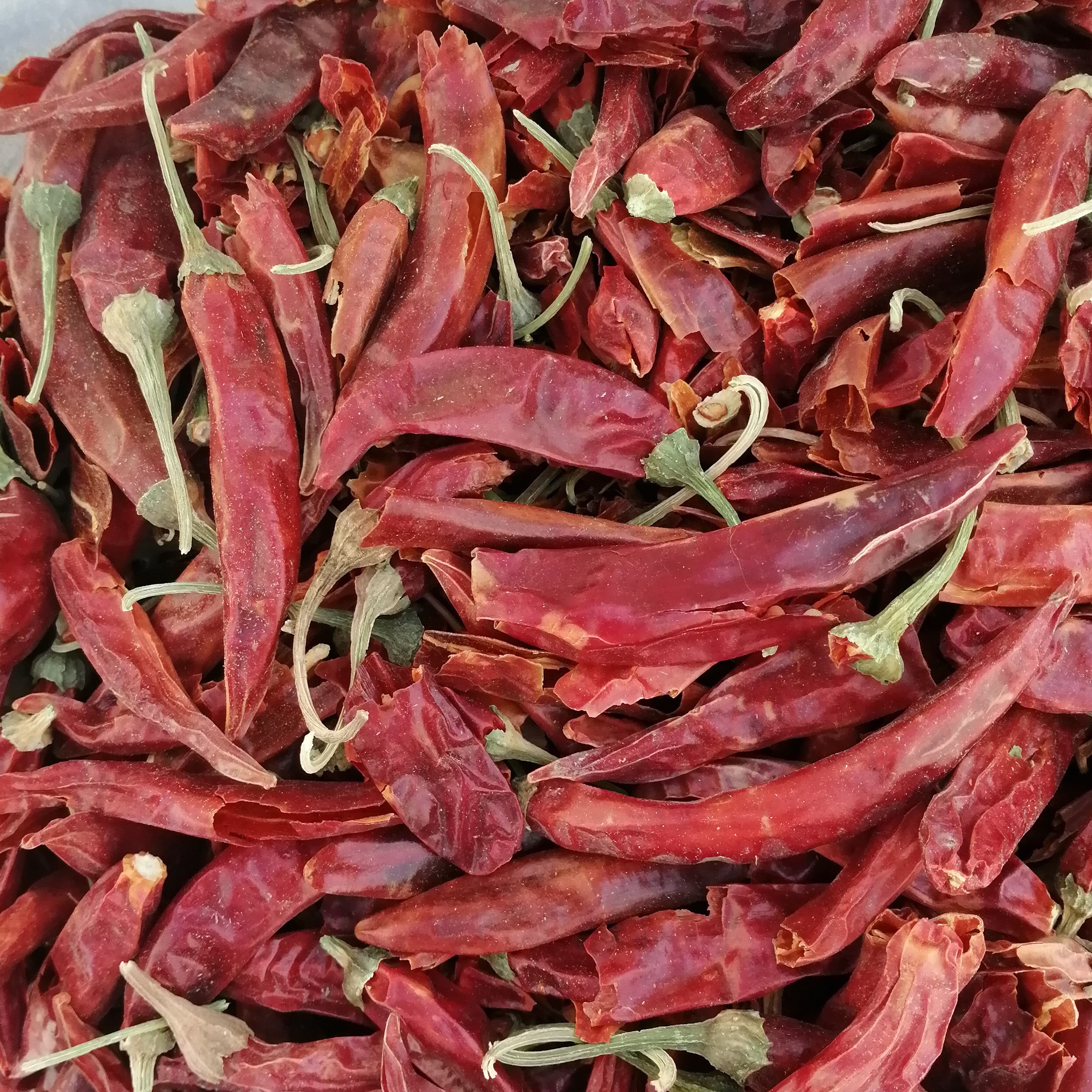 فلفل قرمز خشک شده با دستگاه و پودر فلفل اصل 