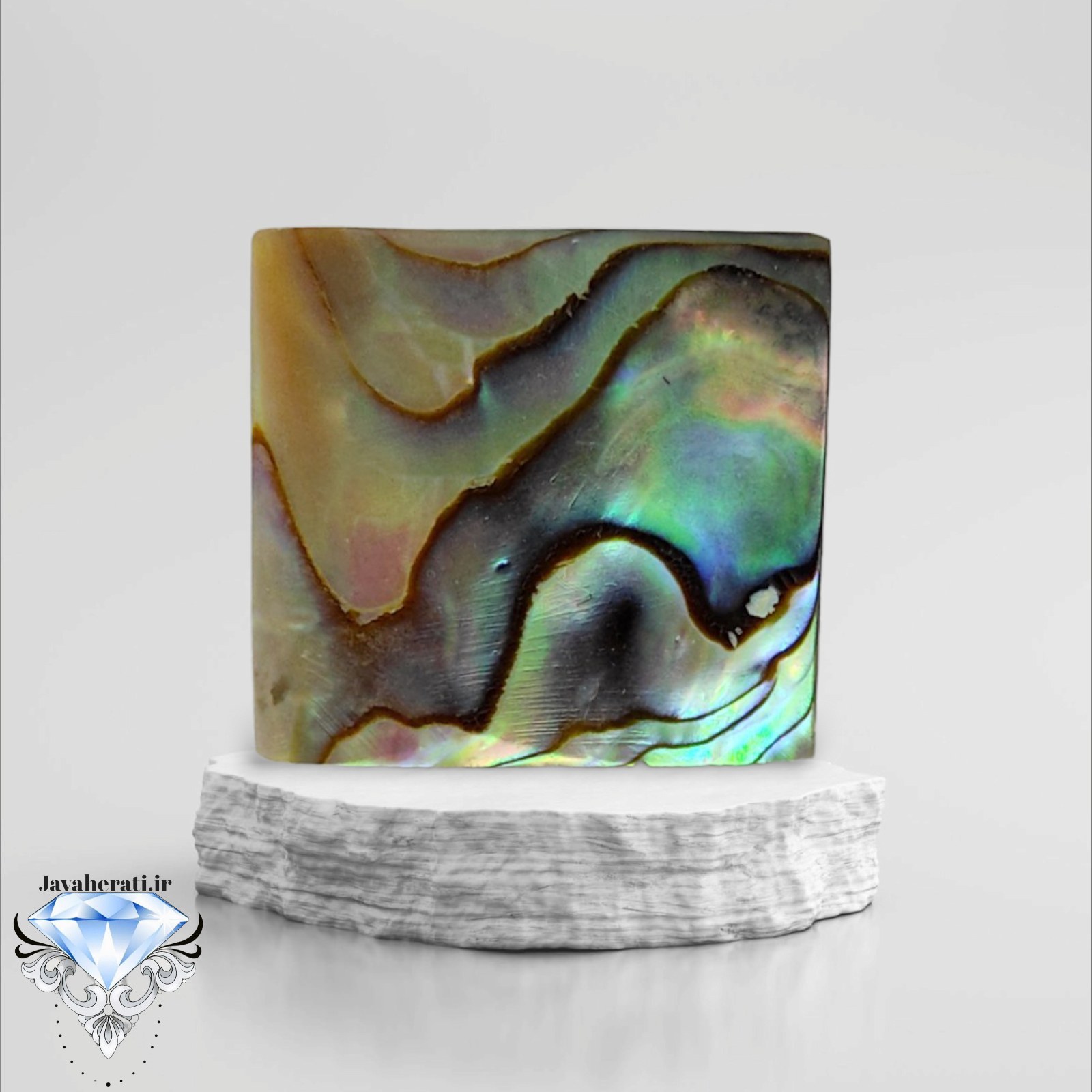 نگین صدف آبالون طبیعی a16