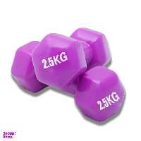 دمبل ایروبیک رکورد وزن 2.5 کیلوگرم