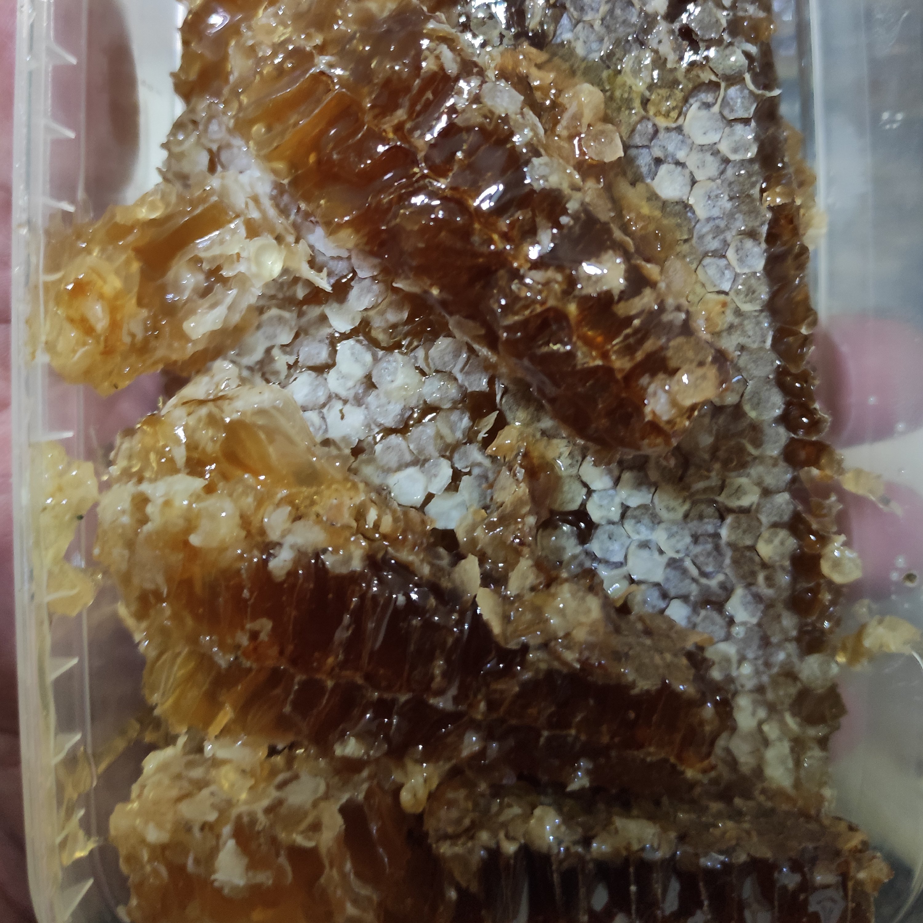 عسل موم دار خالص بهاره