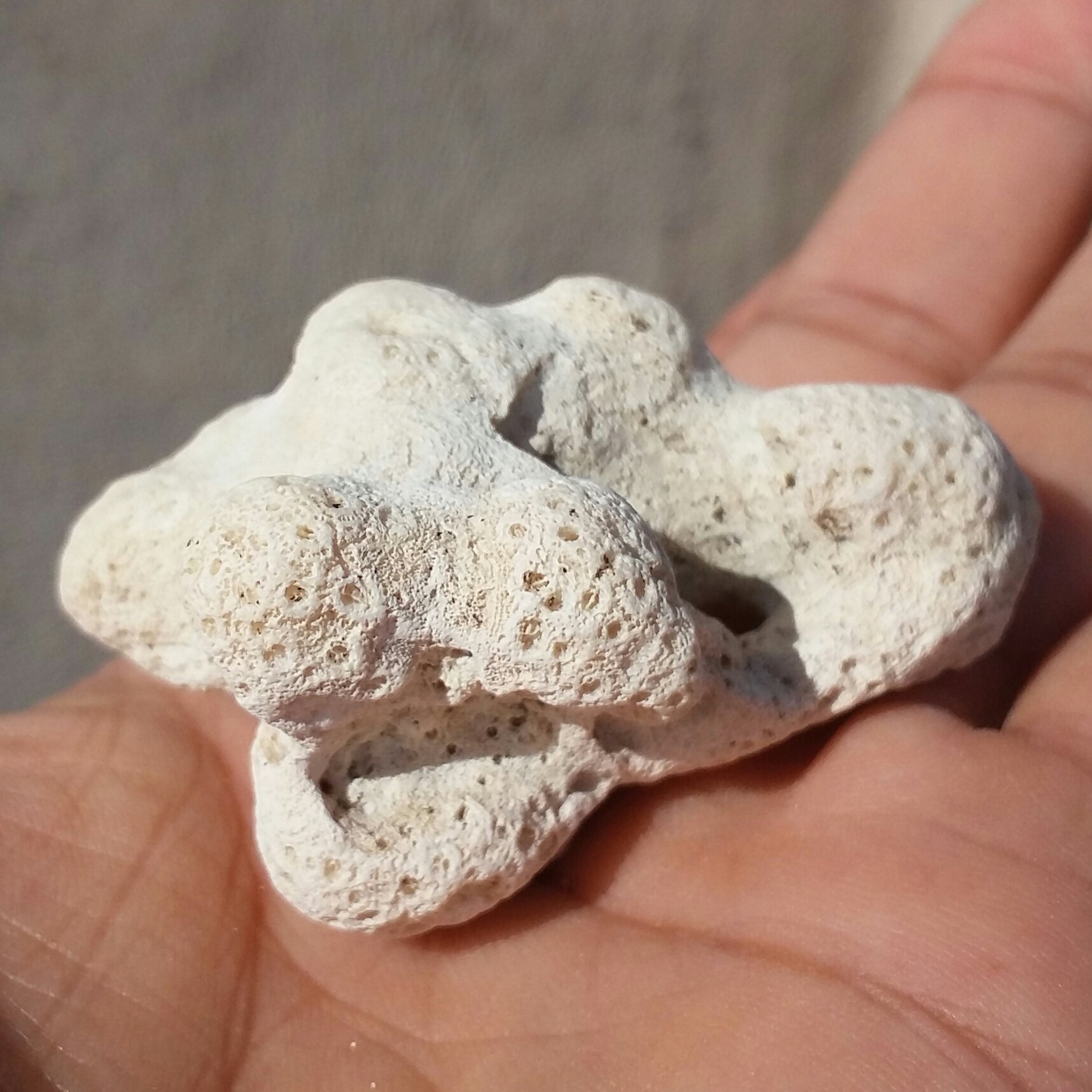 مرجان دریایی محشر دیدنی کاملا طبیعی
مناسب جهت دکور و تزیین
محشر
کد 10127