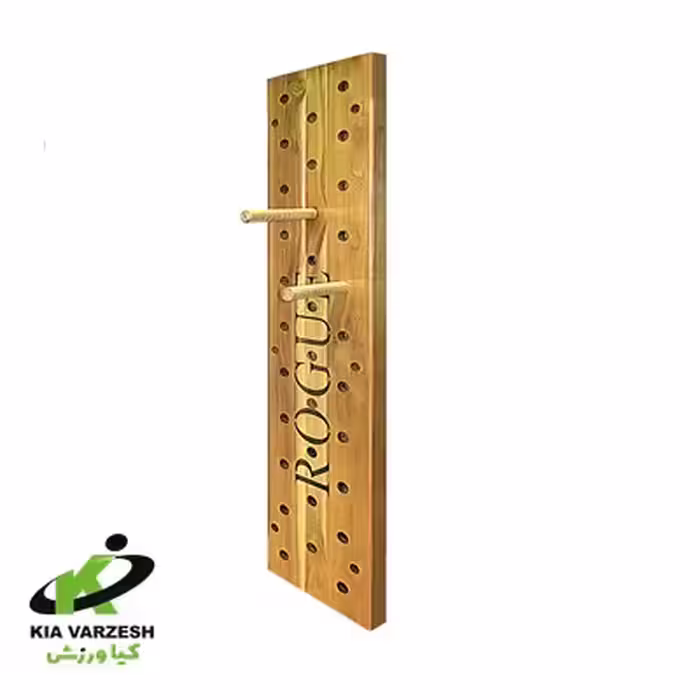 پگ بورد - مشخصات،قیمت و خرید