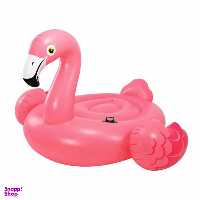 شناور بادی مدل flamingo57558