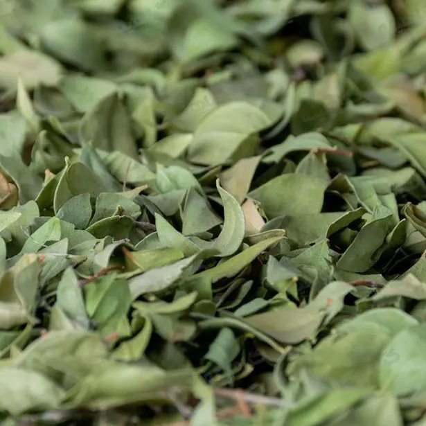 برگ مورد (3کیلویی)