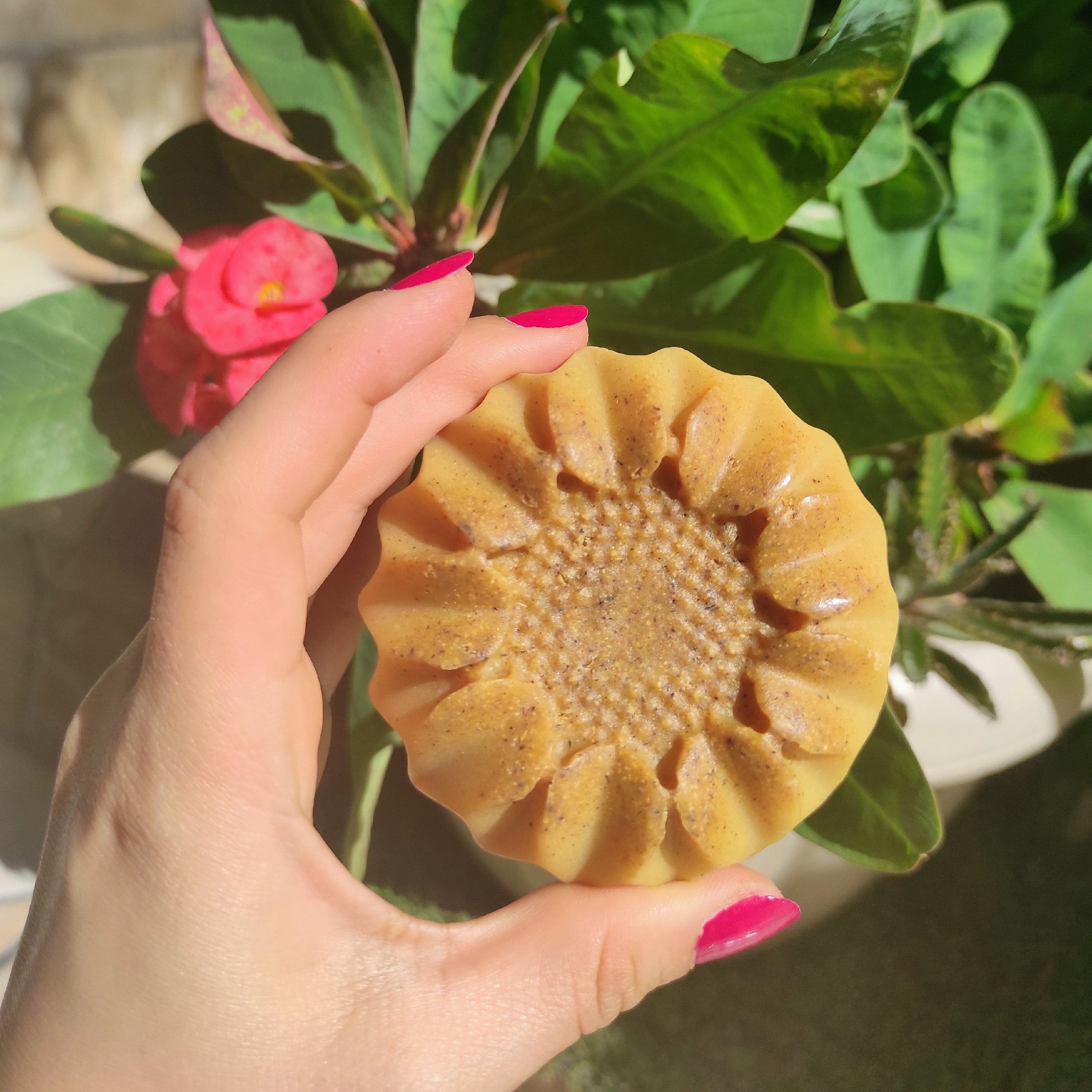 صابون ارگانیک شیرین بیان و روغن درخت چای
