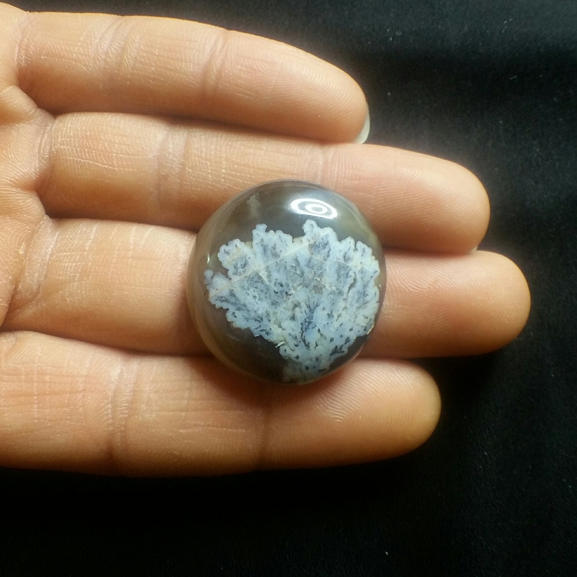 نگین شجر طبیعی بدون بهسازی خوش رنگ و بسیار زیبا با زمینه خرمایی