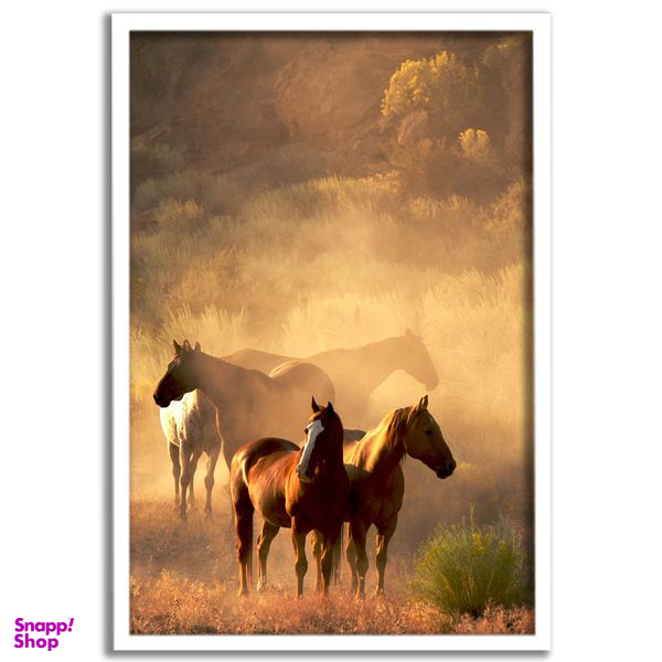 تابلو نوری بکلیت طرح اسب مدل لایت باکس W-s23