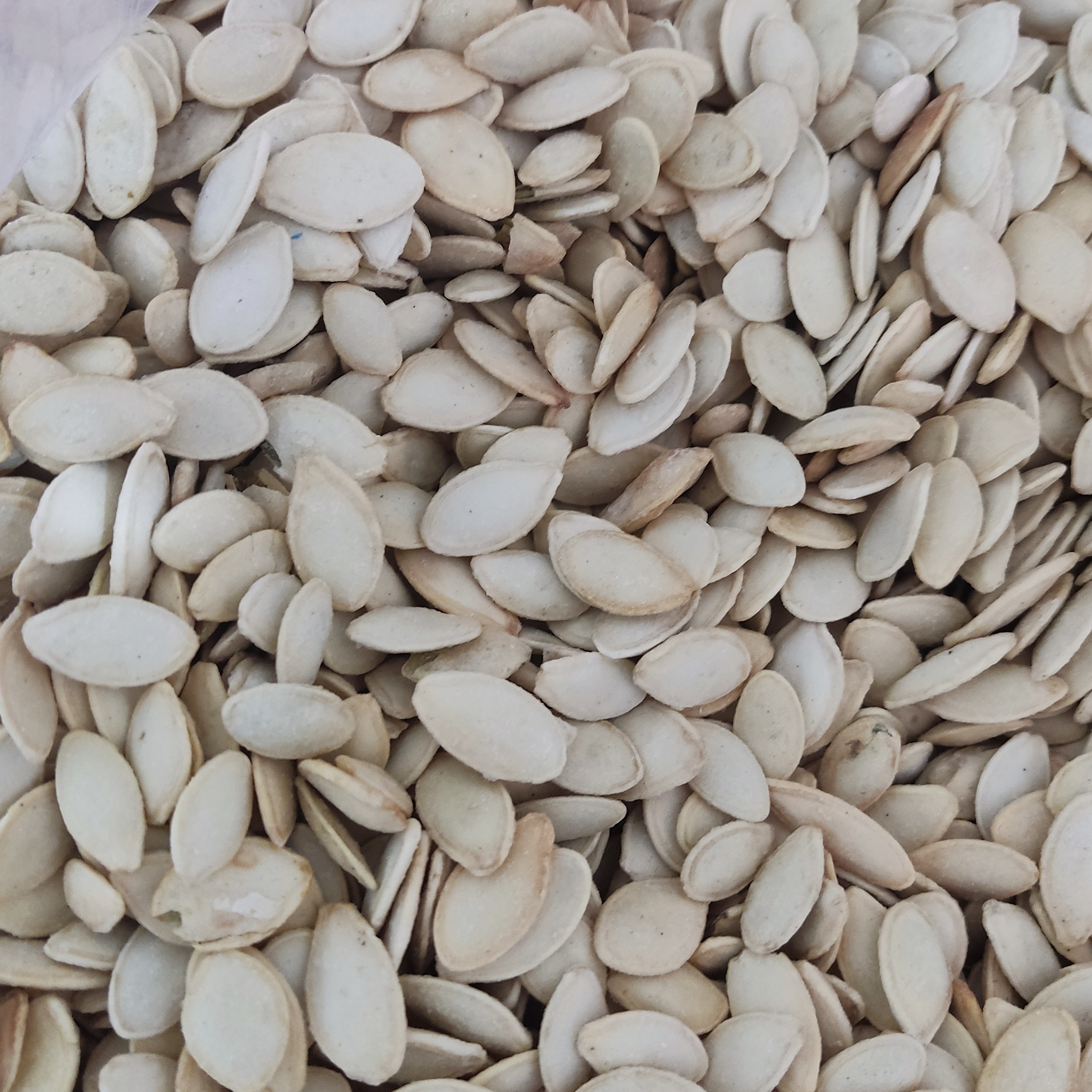 کدو گوشتی لوکس کم نمک یک کیلو یی