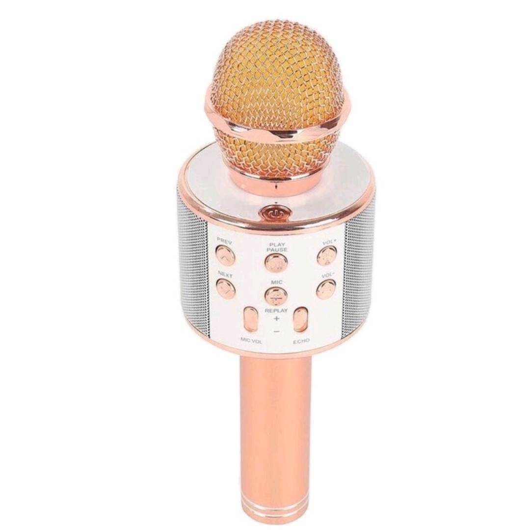 میکروفون اسپیکر دار مدل بلوتوثی همه کاره