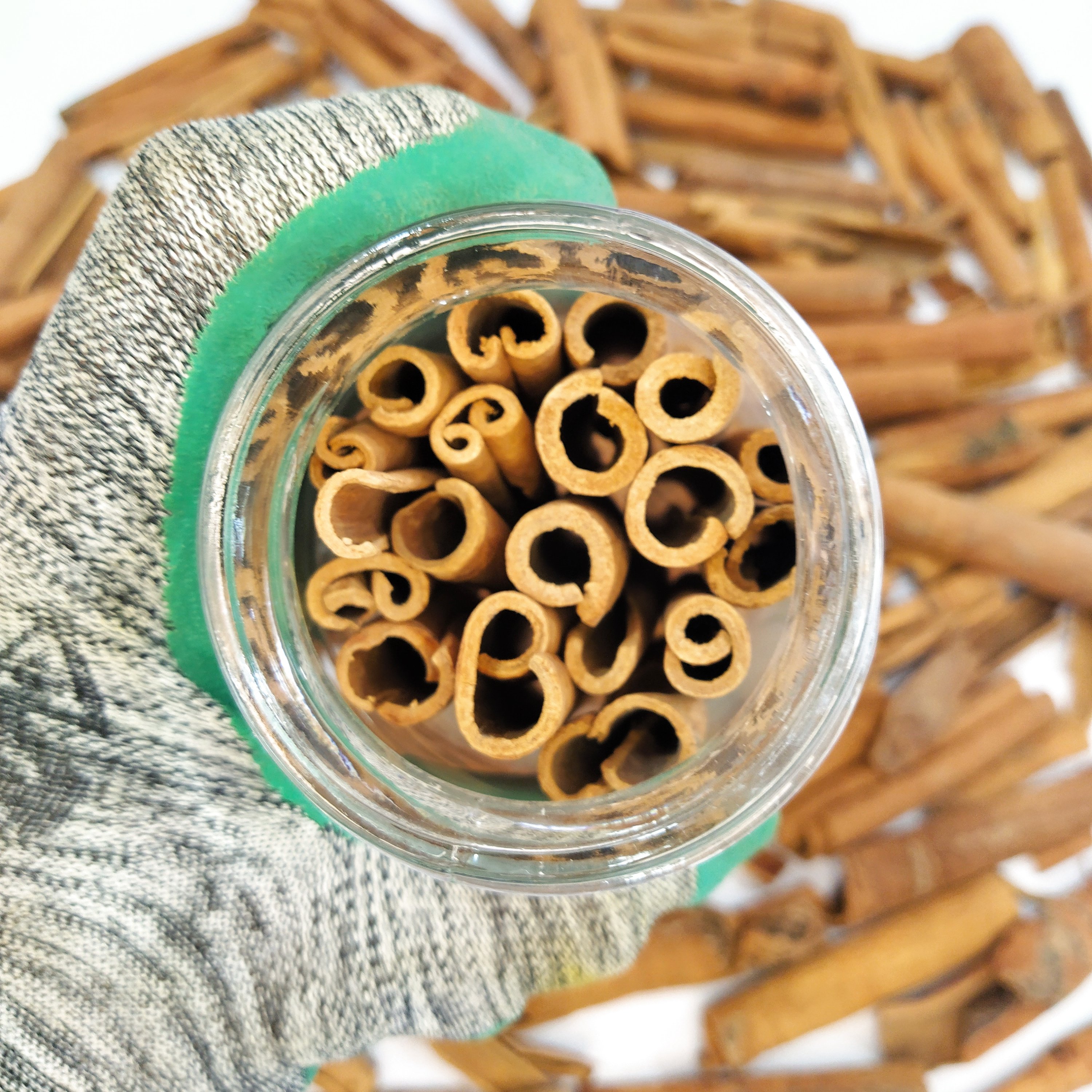 دارچین سیگاری درجه یک بسته 100 گرمی