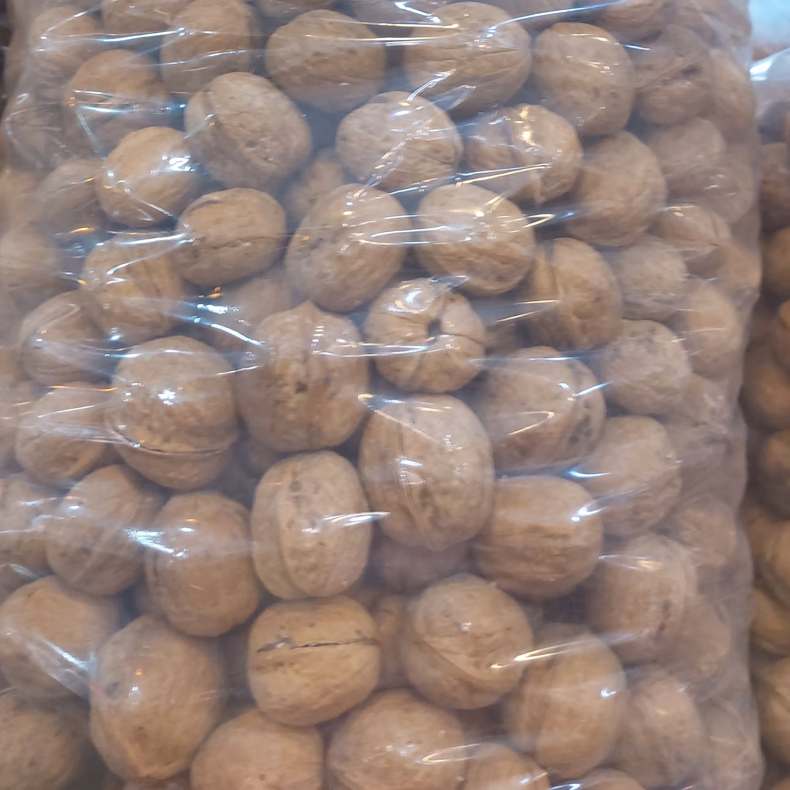 گردو پوست کاغذی